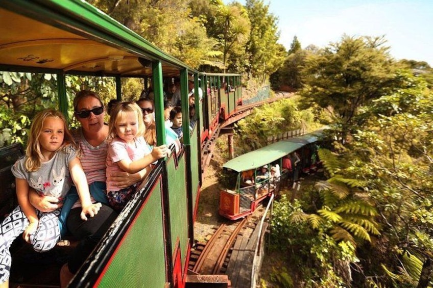 A green train with passengers, surrounded by lush greenery and trees. 5