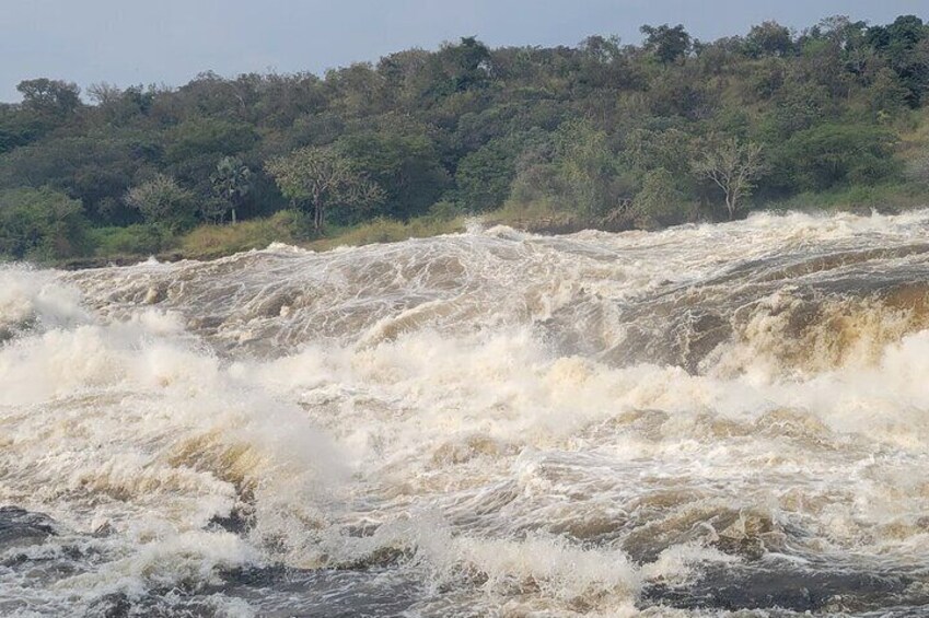 Une rivière aux eaux tumultueuses, parsemée de rapides. 4
