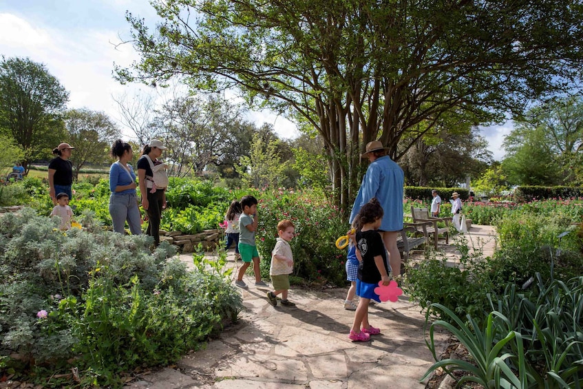 Picture 14 for Activity San Antonio: Botanical Garden Admission Ticket 3