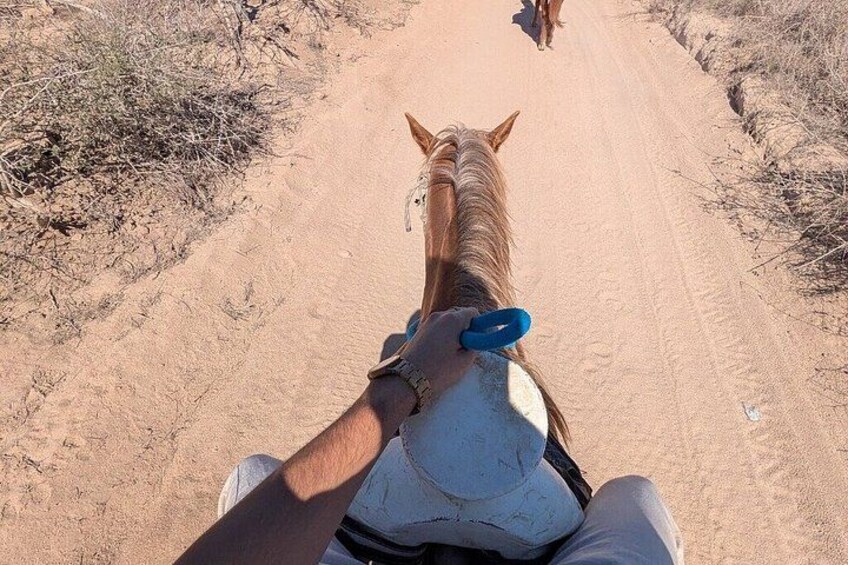 Cabo San Lucas Combination Tour: Land and Sea Adventure 1