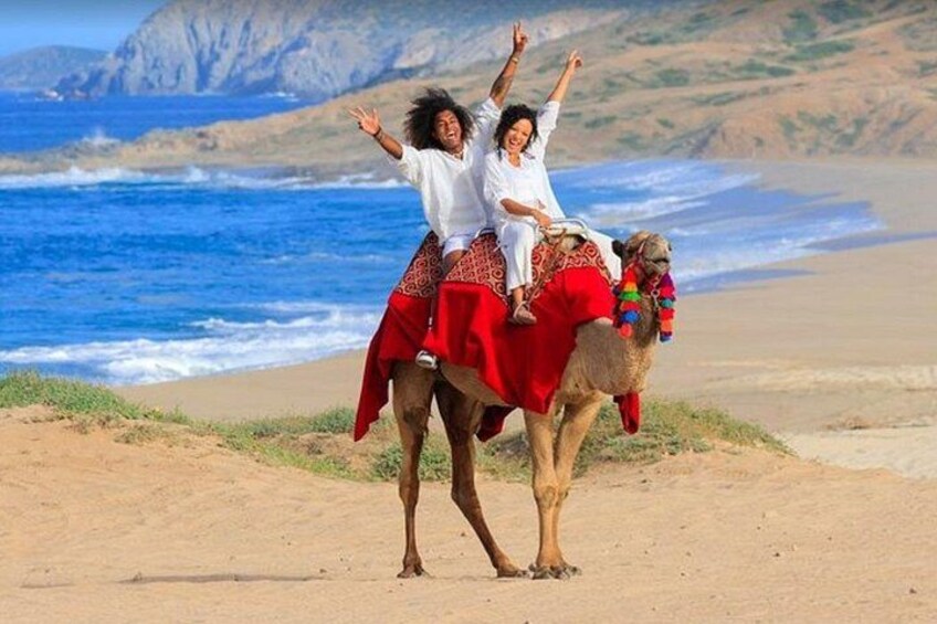 Un camello con un jinete en una playa, con océano y montañas al fondo. 5