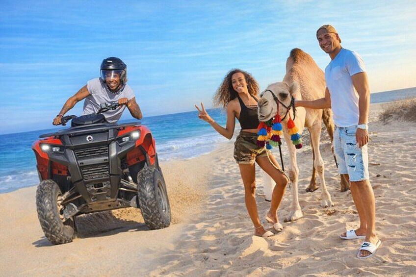 Una playa con un buggy de arena, un camello y gente. 3