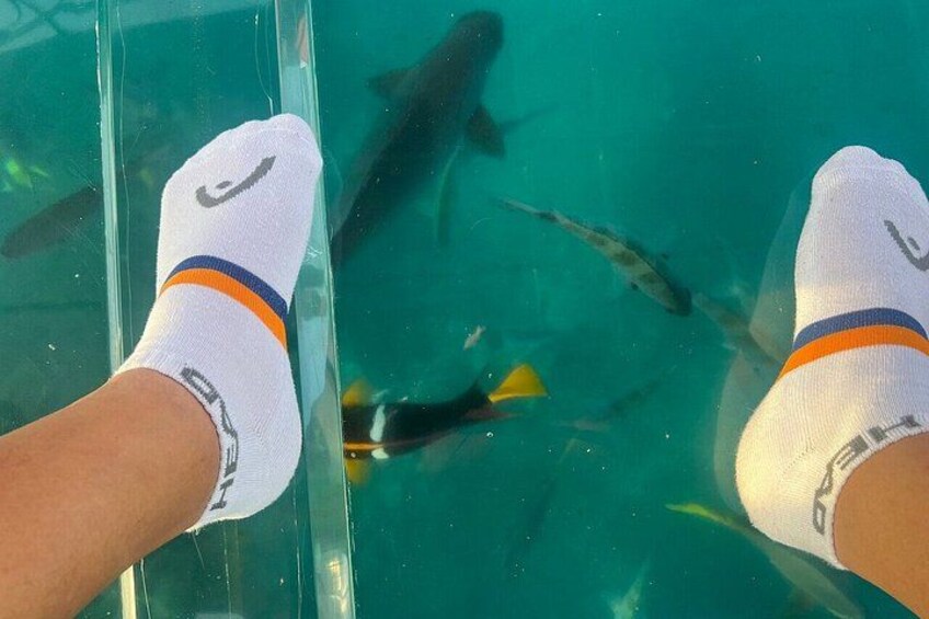 Cabo San Lucas Combination Tour: Land and Sea Adventure 5