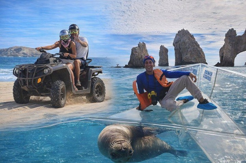 Una persona sentada en una barrera de vidrio junto al mar, un lobo marino nadando en el agua, y un vehículo todo terreno con dos personas. 1