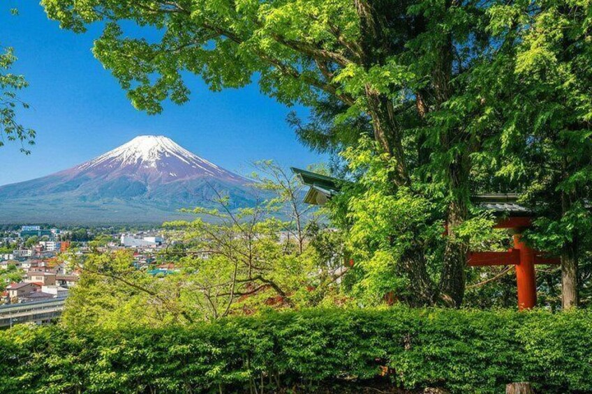 Mount Fuji Full Day Sightseeing Tour from Tokyo 2