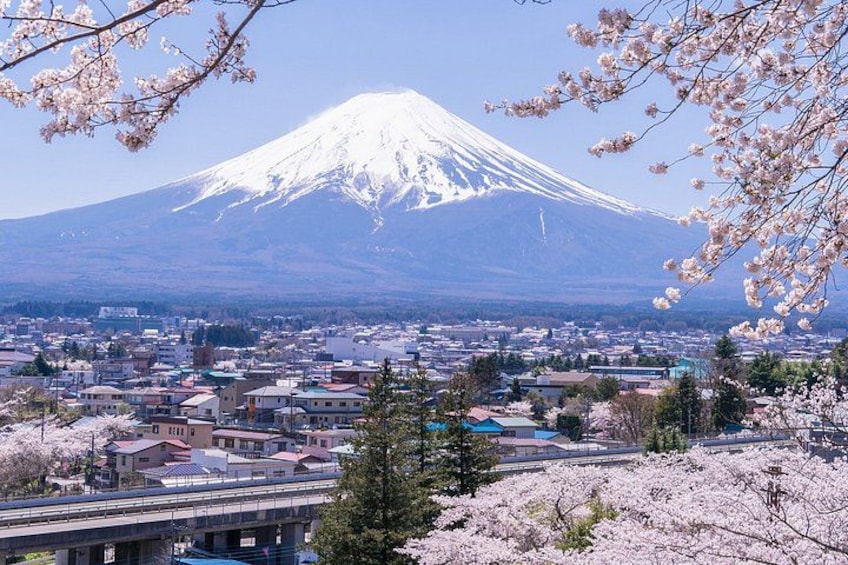 Mount Fuji Full Day Sightseeing Tour from Tokyo 2