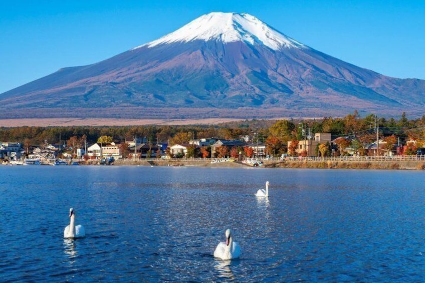 Mount Fuji Full Day Sightseeing Tour from Tokyo 5