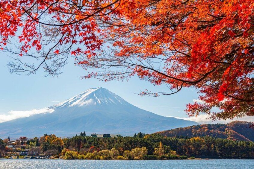 Mount Fuji Full Day Sightseeing Tour from Tokyo 2