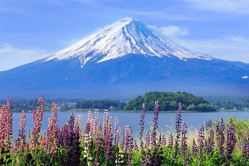 Mount Fuji Full Day Sightseeing Tour from Tokyo 4