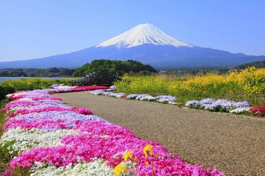 Mount Fuji Full Day Sightseeing Tour from Tokyo 5