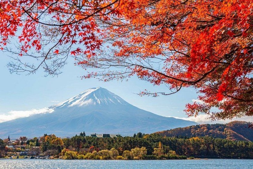 Mount Fuji Full Day Sightseeing Tour from Tokyo 4