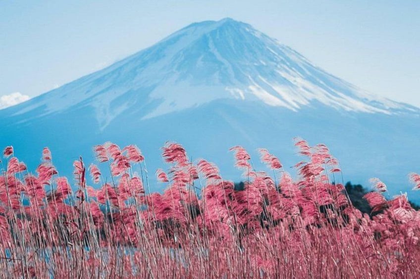 Mount Fuji Full Day Sightseeing Tour from Tokyo 3