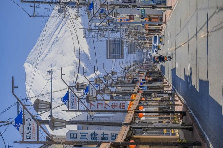 Mount Fuji Full Day Sightseeing Tour from Tokyo 3