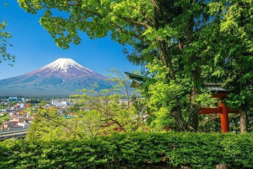 Mount Fuji Full Day Sightseeing Tour from Tokyo 3