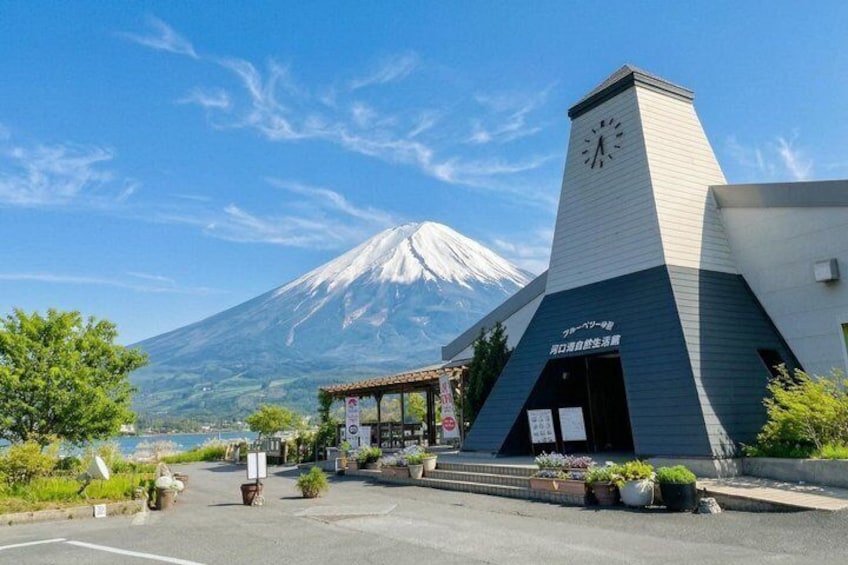 Mount Fuji Full Day Sightseeing Tour from Tokyo 5