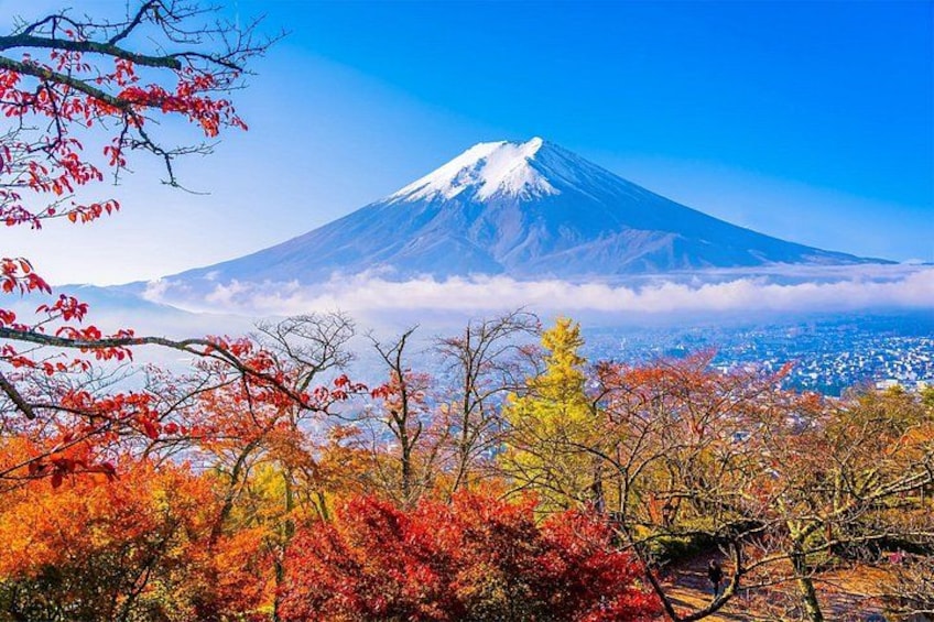 Mount Fuji Full Day Sightseeing Tour from Tokyo 4