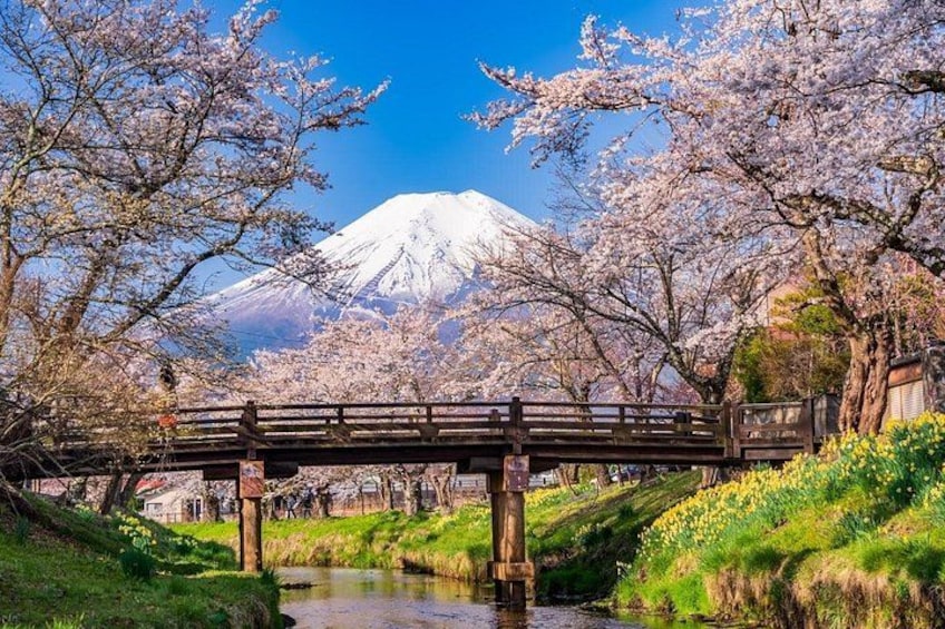 Mount Fuji Full Day Sightseeing Tour from Tokyo 2