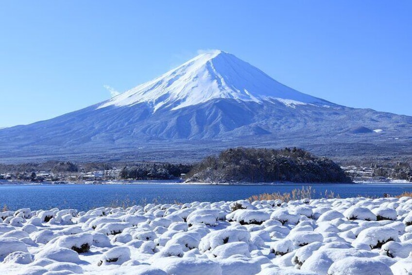 Mount Fuji Full Day Sightseeing Tour from Tokyo 3