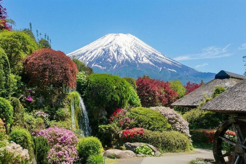Mount Fuji Full Day Sightseeing Tour from Tokyo 3