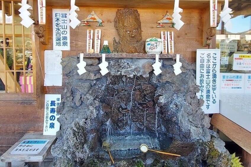 Mount Fuji Full Day Sightseeing Tour from Tokyo 2