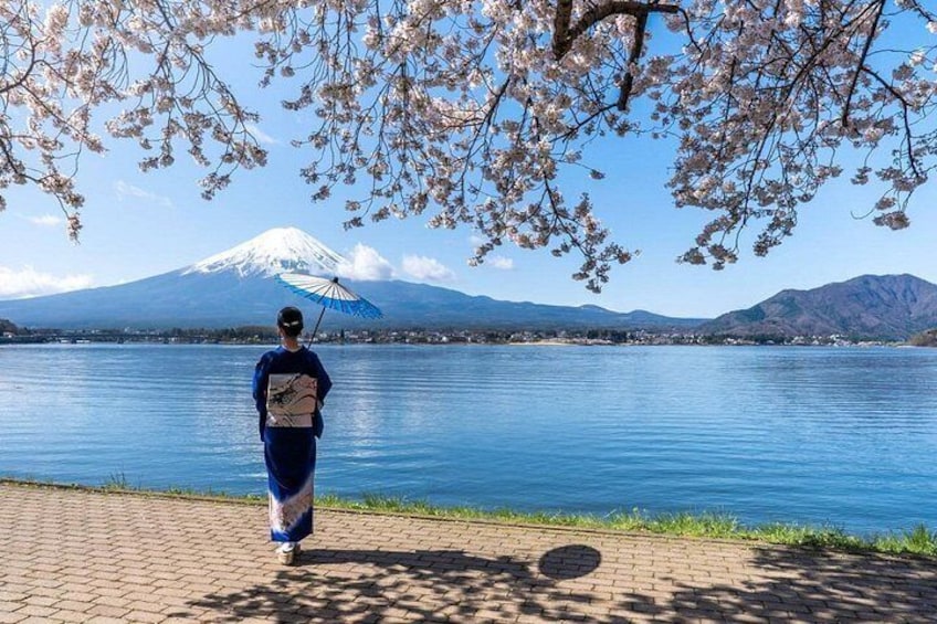 Mount Fuji Full Day Sightseeing Tour from Tokyo 2