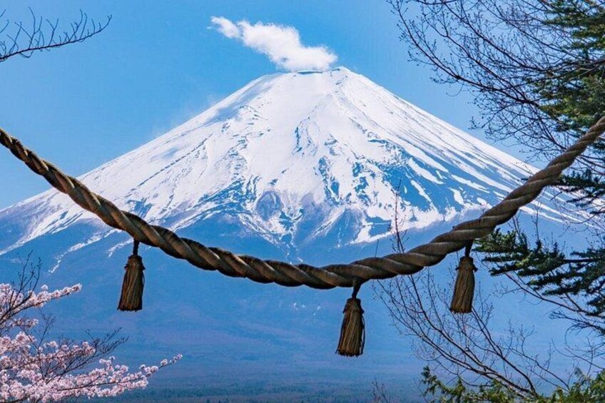 Mount Fuji Full Day Sightseeing Tour from Tokyo 2