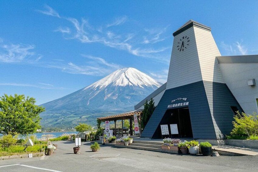 Mount Fuji Full Day Sightseeing Tour from Tokyo 5