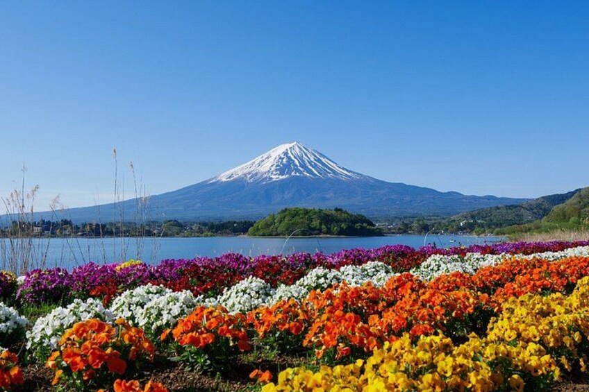 Mount Fuji Full Day Sightseeing Tour from Tokyo 3