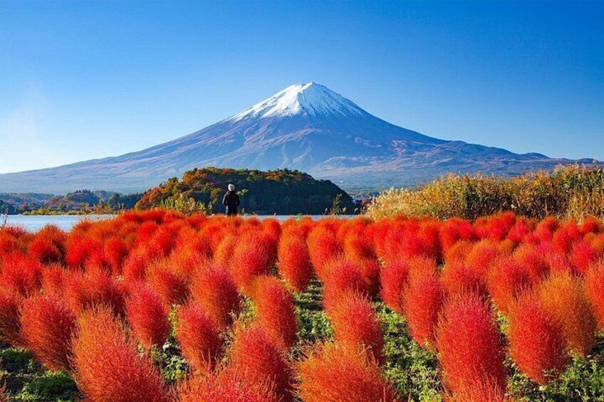 Mount Fuji Full Day Sightseeing Tour from Tokyo 4