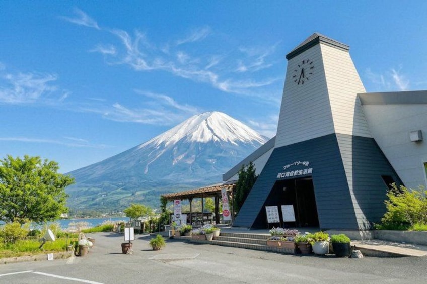 Mount Fuji Full Day Sightseeing Tour from Tokyo 5