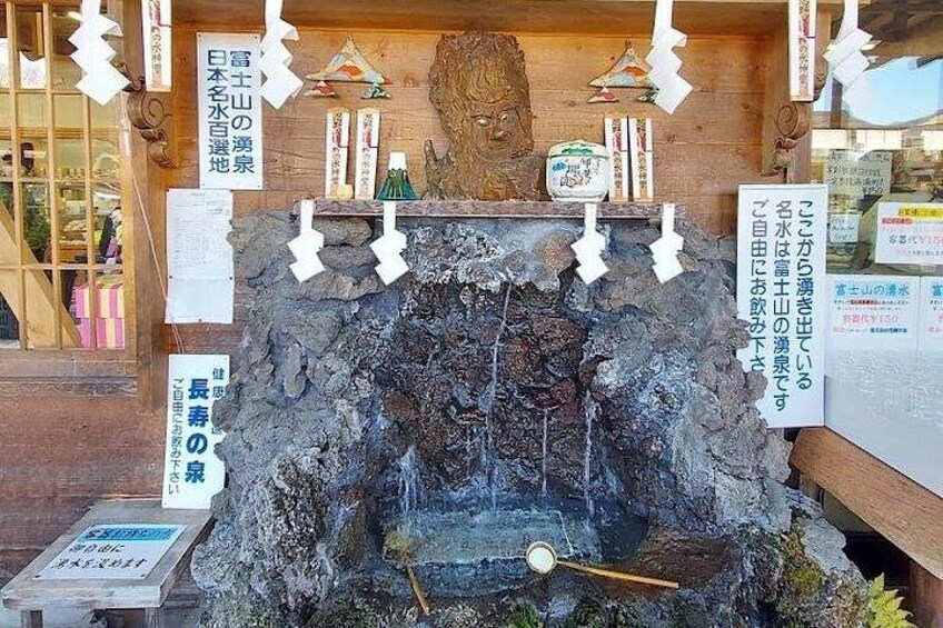 Mount Fuji Full Day Sightseeing Tour from Tokyo 4