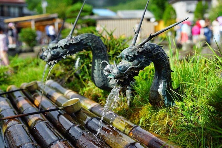 Mount Fuji Full Day Sightseeing Tour from Tokyo 5