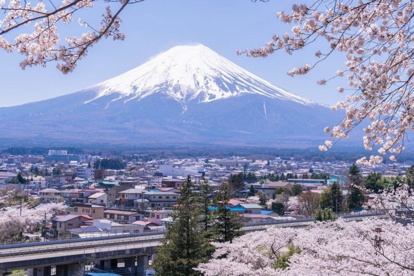 Mount Fuji Full Day Sightseeing Tour from Tokyo 2