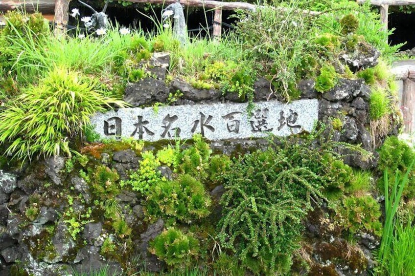 Ein Steinschild mit japanischen Schriftzeichen, umgeben von üppigem Grün und Moos. 2