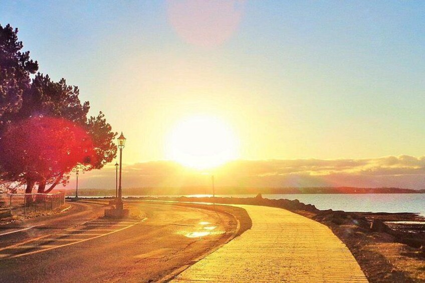 Victoria Park Sunrise 5
