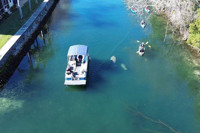 Kings Bay Eco Tours 1