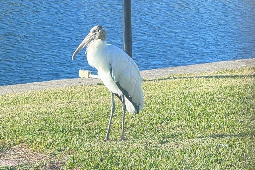 Kings Bay Eco Tours 3