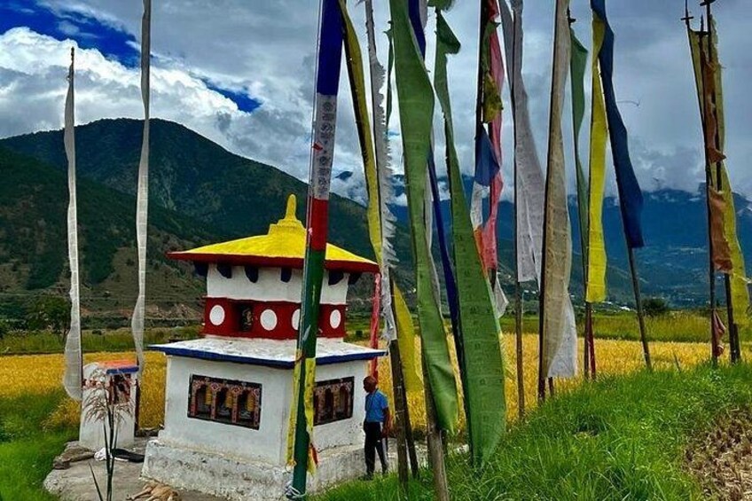 Travel to Nepal 10 days to explore the Culture and Best Views 5