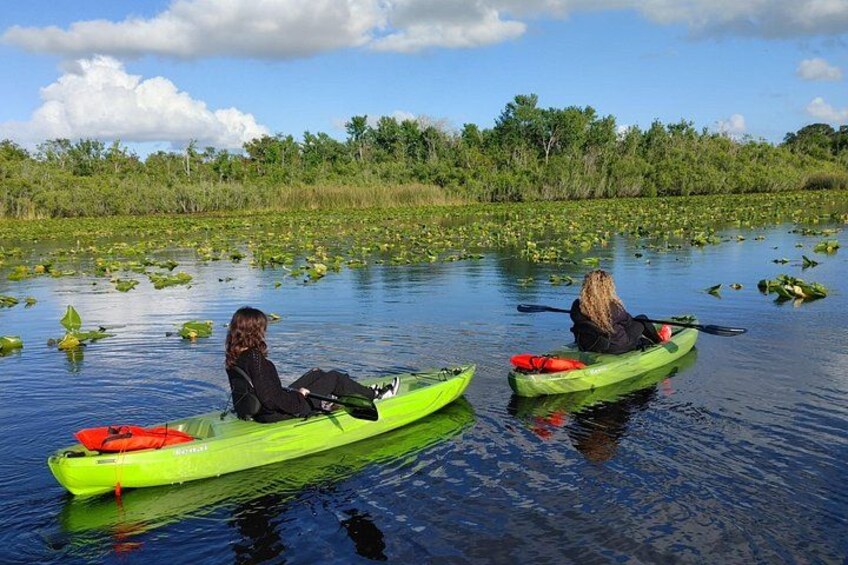 Dos personas en kayak en aguas tranquilas, rodeadas de abundante vegetación. 5