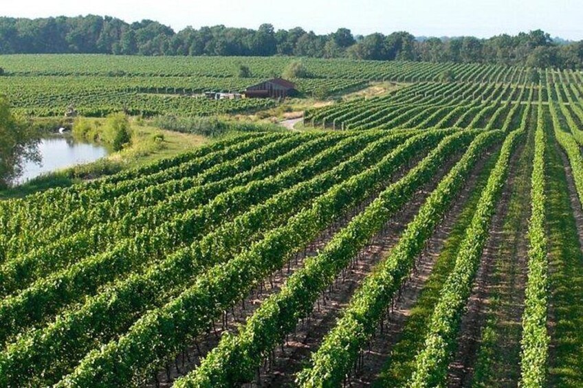 Niagara-on-the-Lake Wine Tour with Tastings 2