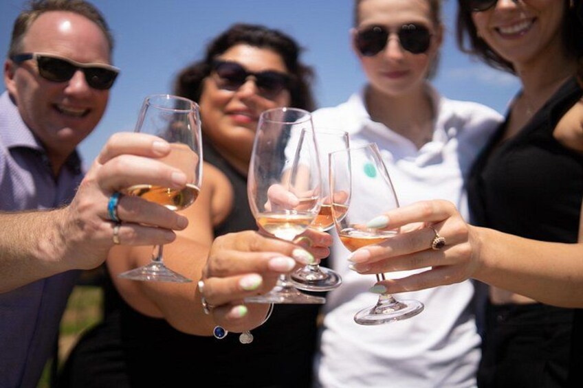 Un gruppo di persone che brindano con bicchieri di vino. 2