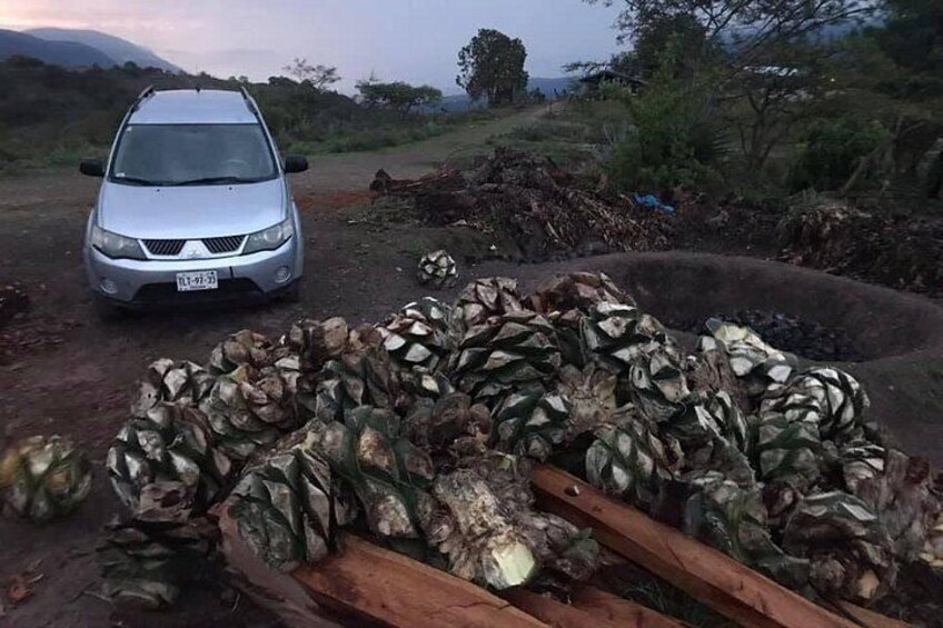 A silver car parked on a dirt road with a pile of coconuts in the foreground. 5
