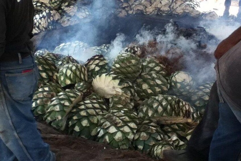 A person handling large, green, patterned leaves, possibly for processing or cooking, with smoke visible in the background. 4