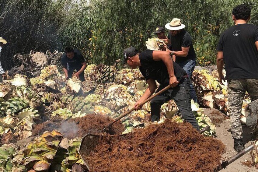 Mezcal Workshop: Liquid Culture in Oaxaca 1