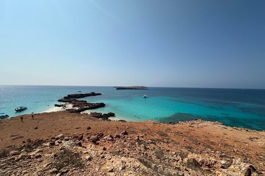 Snorkeling at Dimaniyat Islands and Dolphin Watching