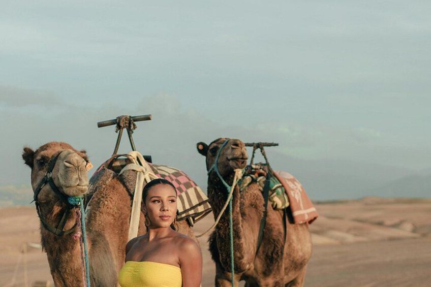 A person standing between two camels in a desert landscape. 1