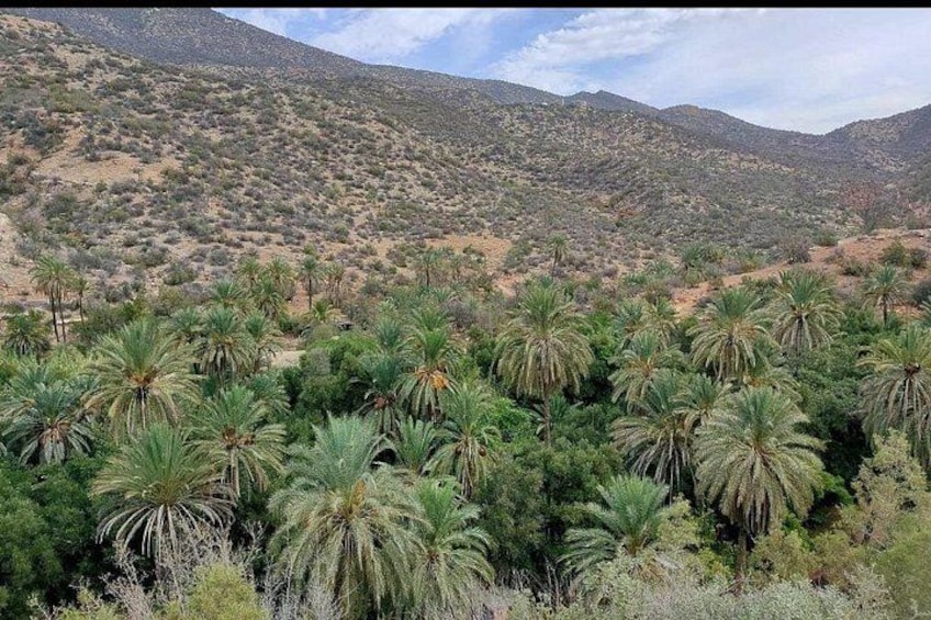 Paradise Valley & the Atlas Mountains: Nature’s Hidden Gems 2