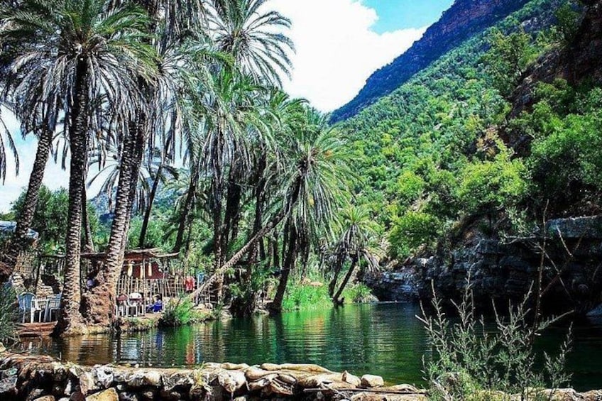 Paradise Valley & the Atlas Mountains: Nature’s Hidden Gems 4