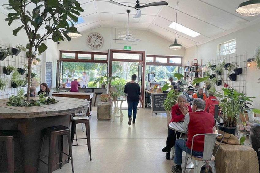 An indoor cafe with tables, chairs, and potted plants. 3