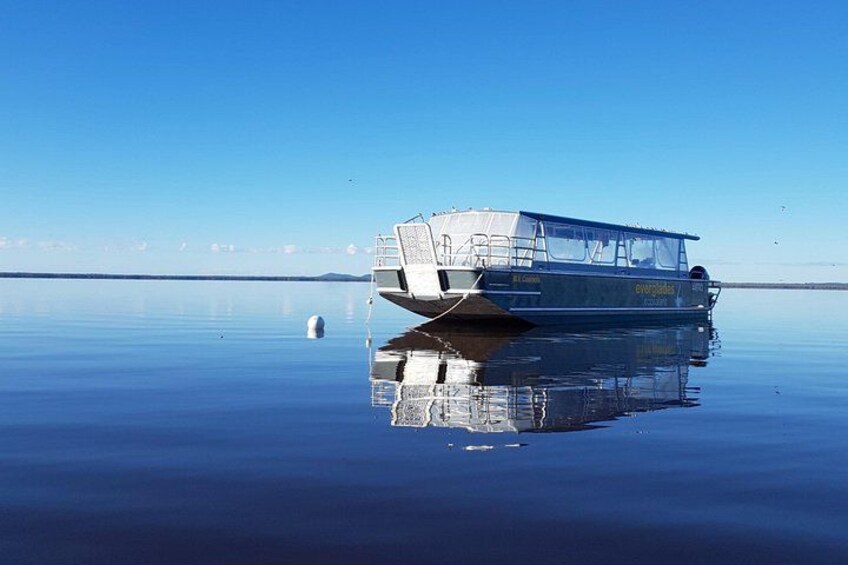 Joel's Journeys - Noosa Everglades and Hinterland Tour 2